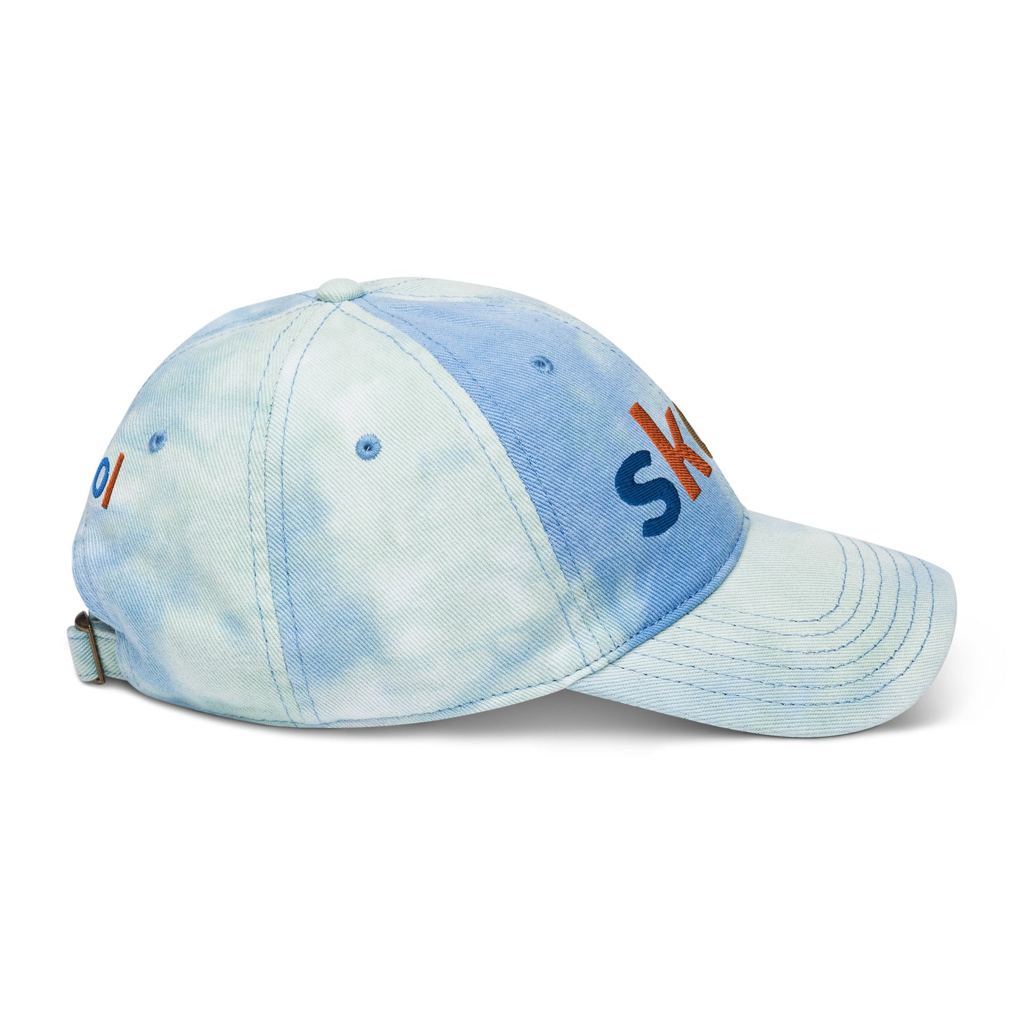 Pegasus Poop Skool hat